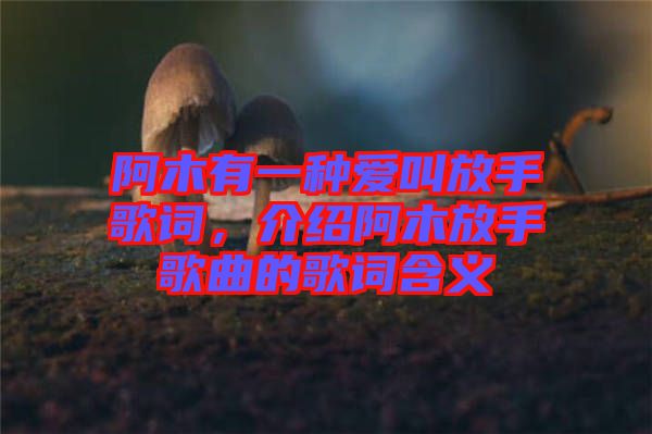 阿木有一種愛叫放手歌詞，介紹阿木放手歌曲的歌詞含義