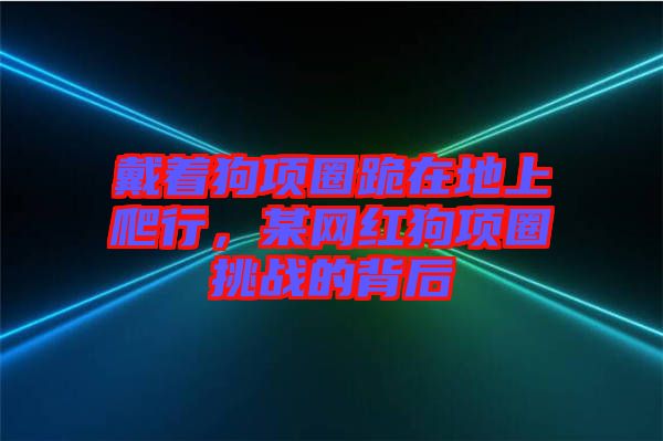 戴著狗項(xiàng)圈跪在地上爬行，某網(wǎng)紅狗項(xiàng)圈挑戰(zhàn)的背后