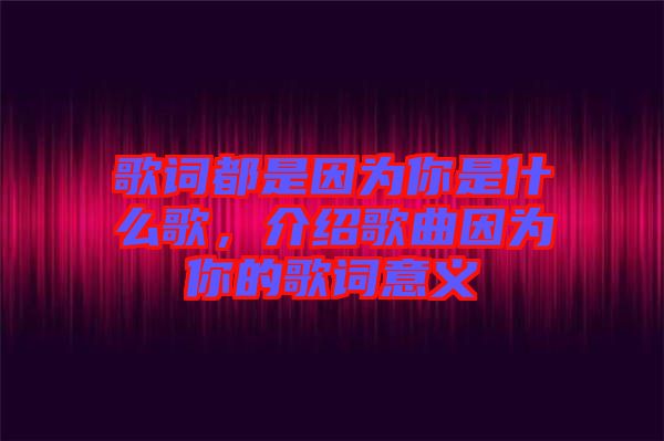 歌詞都是因?yàn)槟闶鞘裁锤?，介紹歌曲因?yàn)槟愕母柙~意義