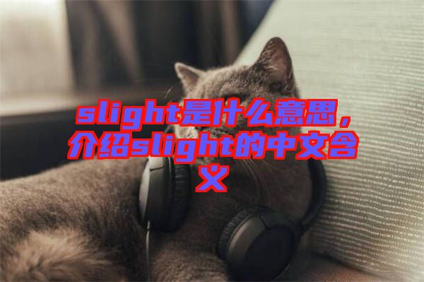 slight是什么意思，介紹slight的中文含義