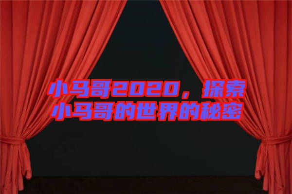 小馬哥2020，探索小馬哥的世界的秘密