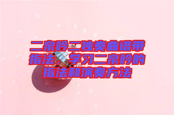 二泉吟二獨(dú)奏曲譜帶指法，學(xué)習(xí)二泉吟的指法和演奏方法