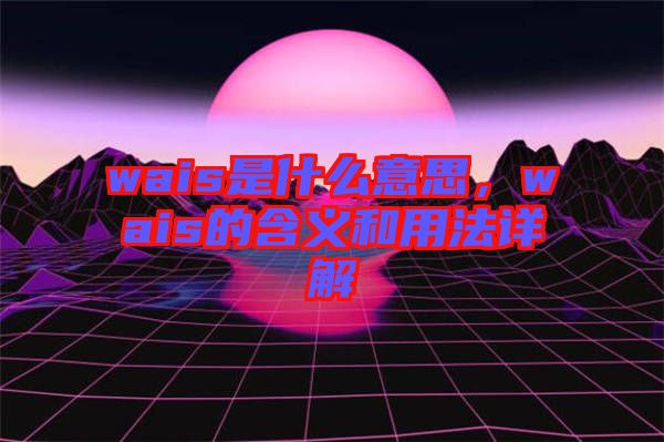 wais是什么意思，wais的含義和用法詳解