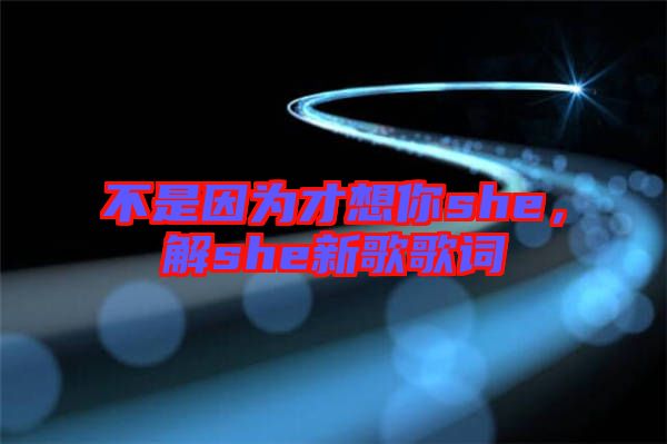 不是因?yàn)椴畔肽鉺he，解she新歌歌詞