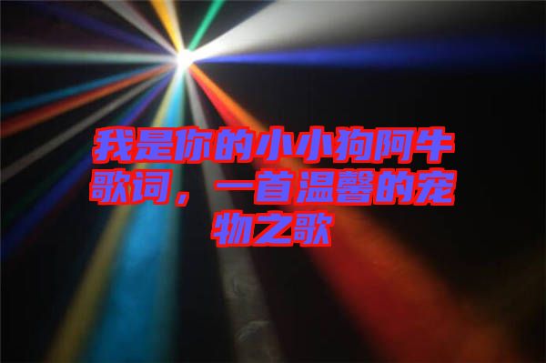 我是你的小小狗阿牛歌詞，一首溫馨的寵物之歌