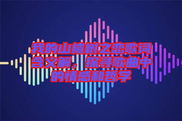 我的山楂樹之戀歌詞含義解，探尋歌曲中的情感和哲學(xué)