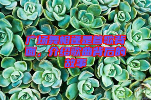 廣場舞相逢是首歌背面，介紹歌曲背后的故事