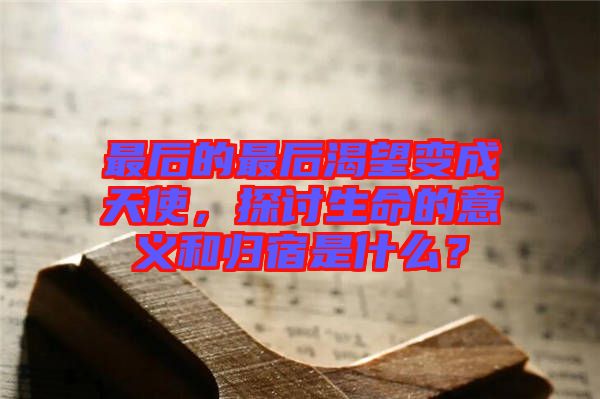 最后的最后渴望變成天使，探討生命的意義和歸宿是什么？