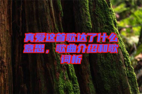 真愛(ài)這首歌達(dá)了什么意思，歌曲介紹和歌詞析