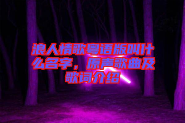 浪人情歌粵語版叫什么名字，原聲歌曲及歌詞介紹