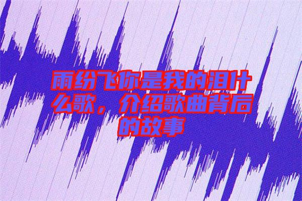 雨紛飛你是我的淚什么歌，介紹歌曲背后的故事