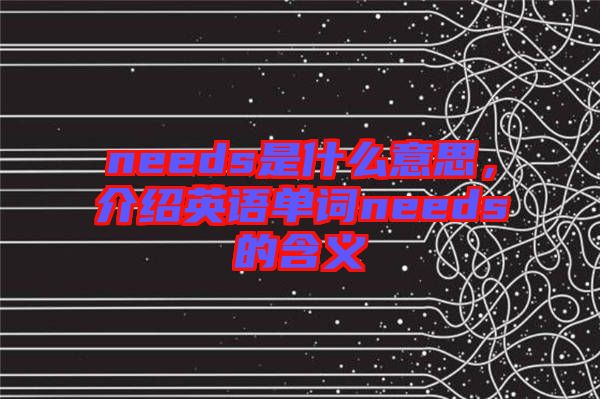 needs是什么意思，介紹英語單詞needs的含義