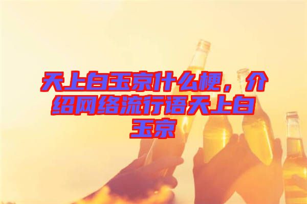 天上白玉京什么梗，介紹網(wǎng)絡流行語天上白玉京