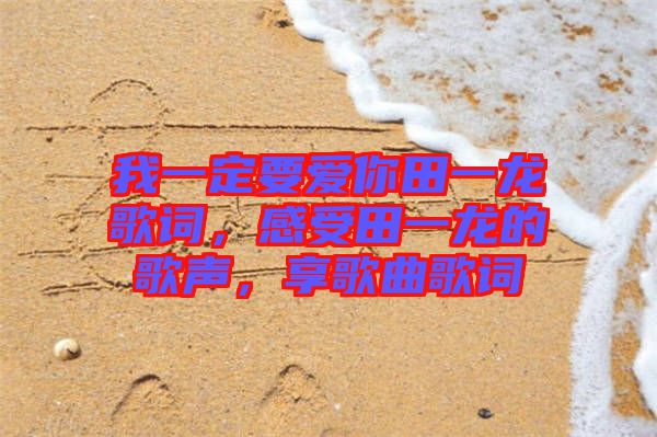 我一定要愛你田一龍歌詞，感受田一龍的歌聲，享歌曲歌詞