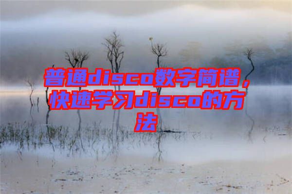 普通disco數(shù)字簡譜，快速學習disco的方法