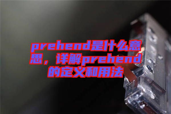 prehend是什么意思，詳解prehend的定義和用法