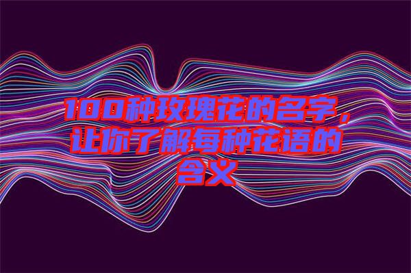 100種玫瑰花的名字，讓你了解每種花語的含義