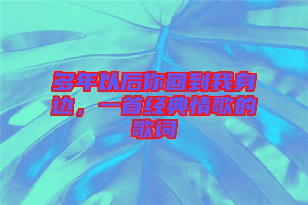 多年以后你回到我身邊，一首經(jīng)典情歌的歌詞