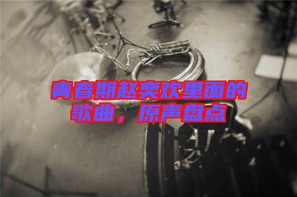 青春期趙奕歡里面的歌曲，原聲盤(pán)點(diǎn)