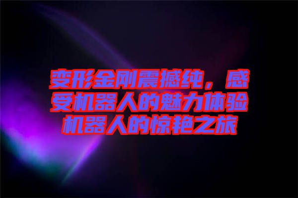 變形金剛震撼純，感受機(jī)器人的魅力體驗(yàn)機(jī)器人的驚艷之旅