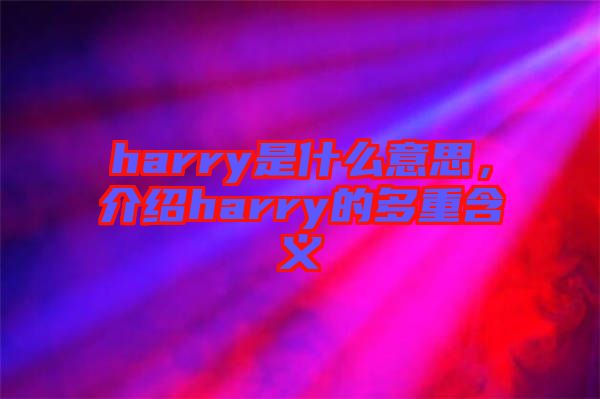 harry是什么意思，介紹harry的多重含義