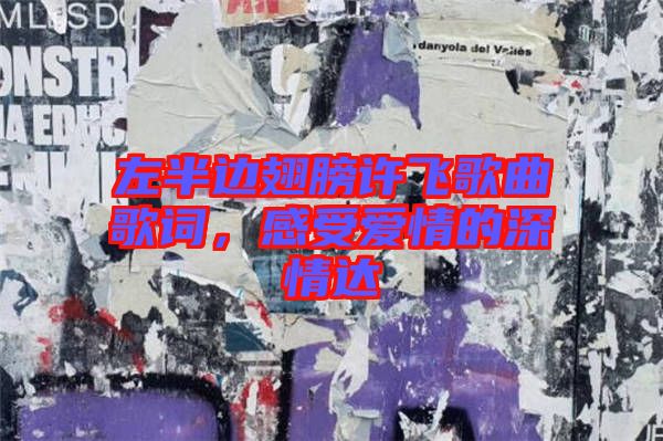 左半邊翅膀許飛歌曲歌詞，感受愛(ài)情的深情達(dá)