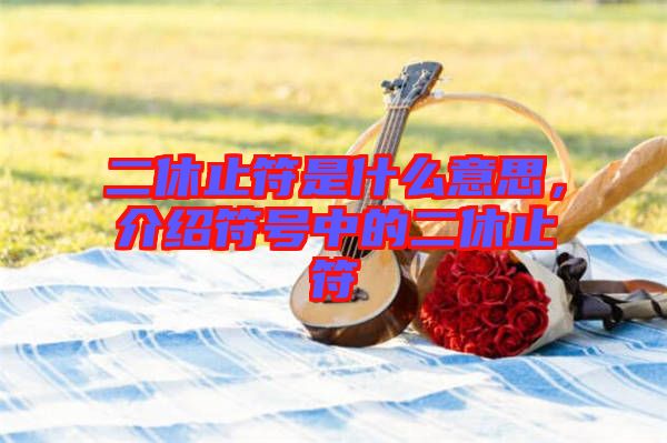 二休止符是什么意思，介紹符號中的二休止符