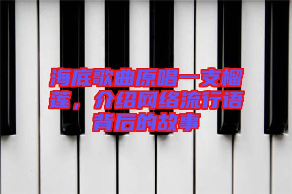 海底歌曲原唱一支榴蓮，介紹網(wǎng)絡(luò)流行語背后的故事