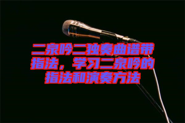 二泉吟二獨奏曲譜帶指法，學習二泉吟的指法和演奏方法