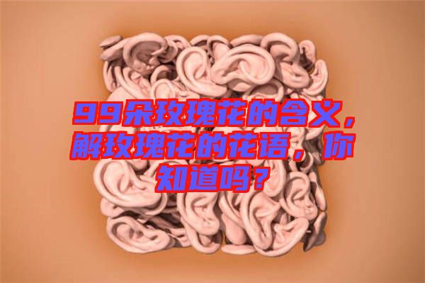 99朵玫瑰花的含義，解玫瑰花的花語，你知道嗎？