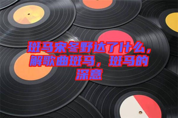 斑馬宋冬野達(dá)了什么，解歌曲斑馬，斑馬的深意