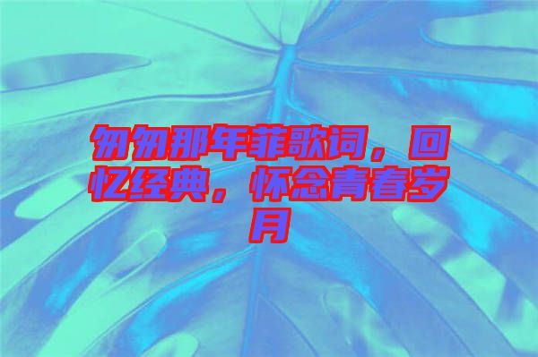 匆匆那年菲歌詞，回憶經(jīng)典，懷念青春歲月