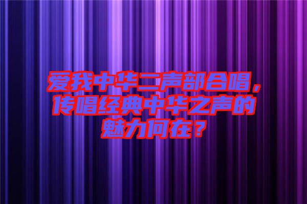 愛我中華二聲部合唱，傳唱經(jīng)典中華之聲的魅力何在？