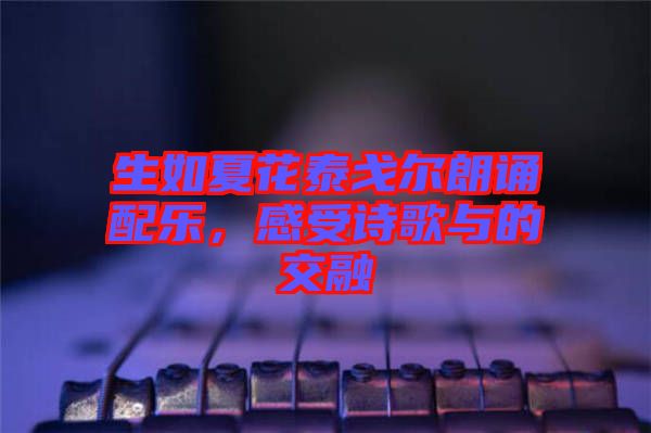 生如夏花泰戈爾朗誦配樂，感受詩歌與的交融