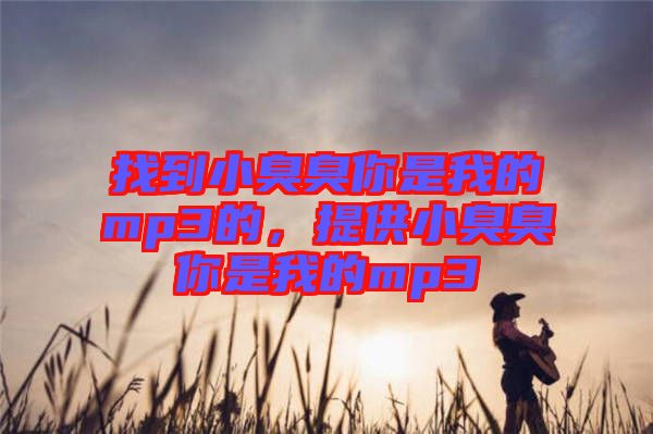 找到小臭臭你是我的mp3的，提供小臭臭你是我的mp3