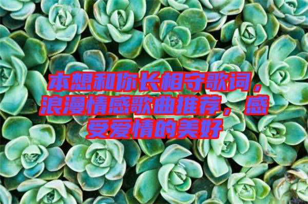 本想和你長(zhǎng)相守歌詞，浪漫情感歌曲推薦，感受愛(ài)情的美好