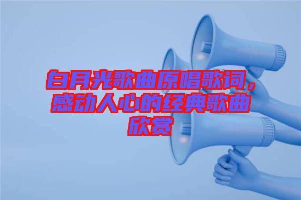 白月光歌曲原唱歌詞，感動(dòng)人心的經(jīng)典歌曲欣賞