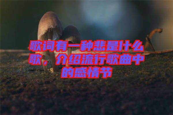 歌詞有一種悲是什么歌，介紹流行歌曲中的感情節(jié)