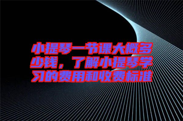 小提琴一節(jié)課大概多少錢，了解小提琴學習的費用和收費標準