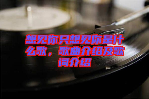 想見你只想見你是什么歌，歌曲介紹及歌詞介紹