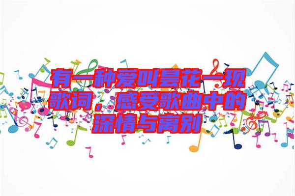 有一種愛(ài)叫曇花一現(xiàn)歌詞，感受歌曲中的深情與離別