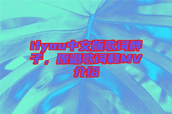 ifyou中文版歌詞胖子，原唱歌詞和MV介紹