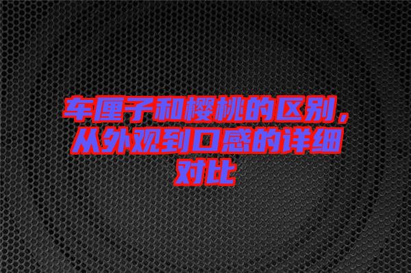 車厘子和櫻桃的區(qū)別，從外觀到口感的詳細對比