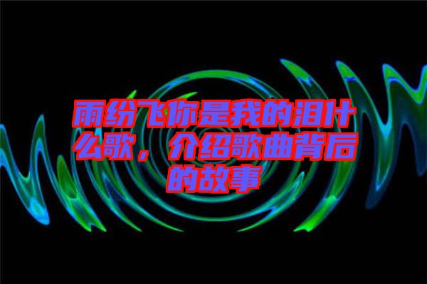 雨紛飛你是我的淚什么歌，介紹歌曲背后的故事