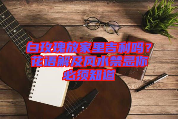 白玫瑰放家里吉利嗎？花語(yǔ)解及風(fēng)水禁忌你必須知道