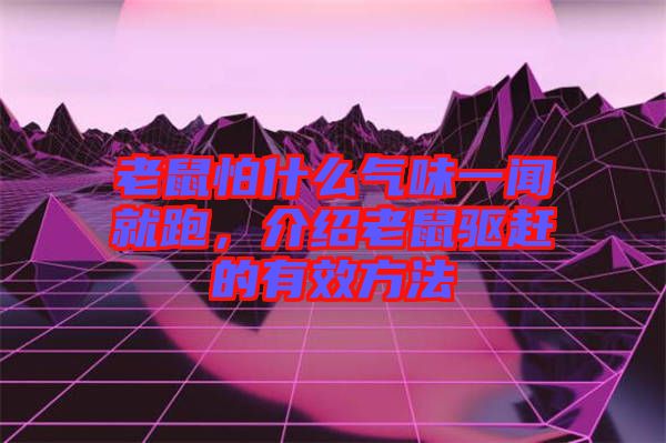 老鼠怕什么氣味一聞就跑，介紹老鼠驅(qū)趕的有效方法