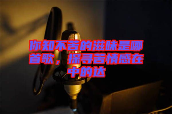 你知不苦的滋味是哪首歌，探尋苦情感在中的達