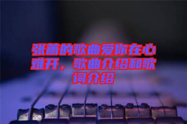 張薔的歌曲愛你在心難開，歌曲介紹和歌詞介紹