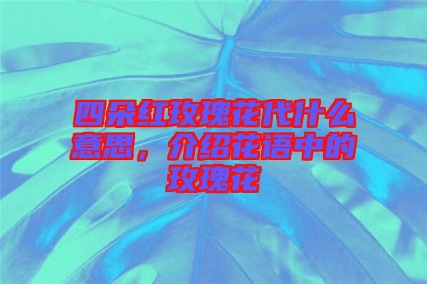 四朵紅玫瑰花代什么意思，介紹花語中的玫瑰花