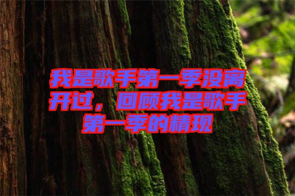 我是歌手第一季沒離開過，回顧我是歌手第一季的精現(xiàn)